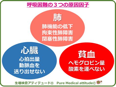 呼吸困難心理作用|呼吸困難とは｜原因、重症度の判定、対処法、アセス 